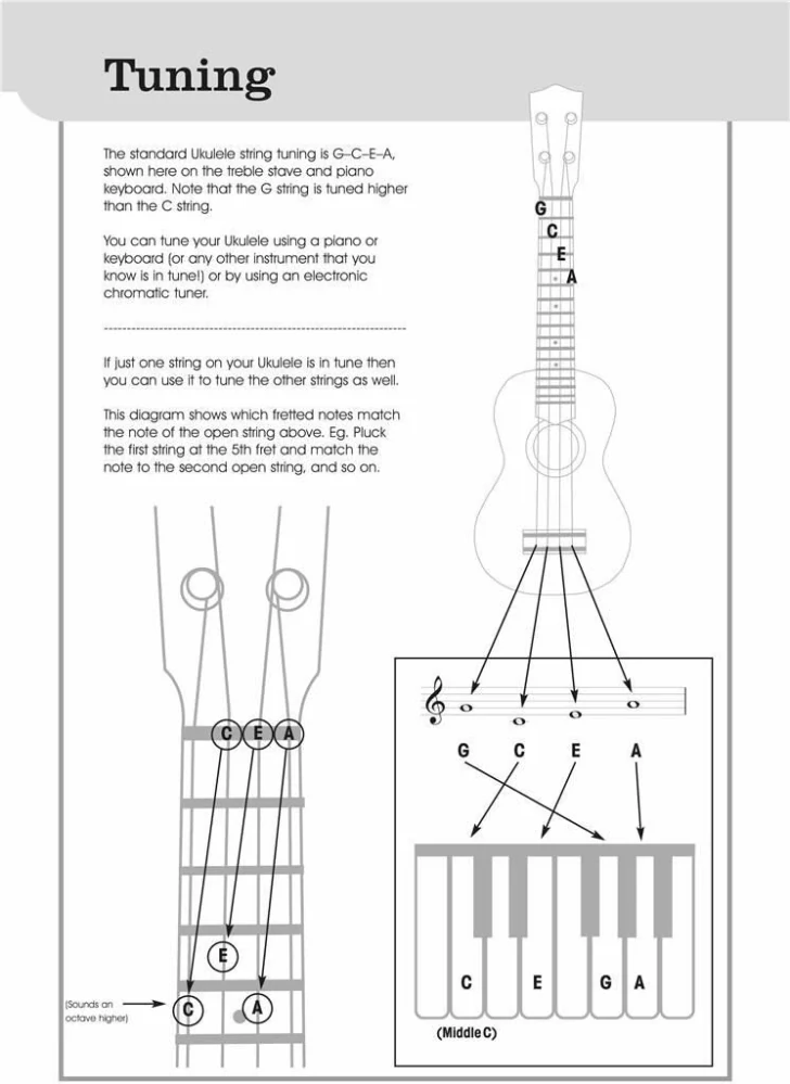 The Ukulele Playlist - Green book