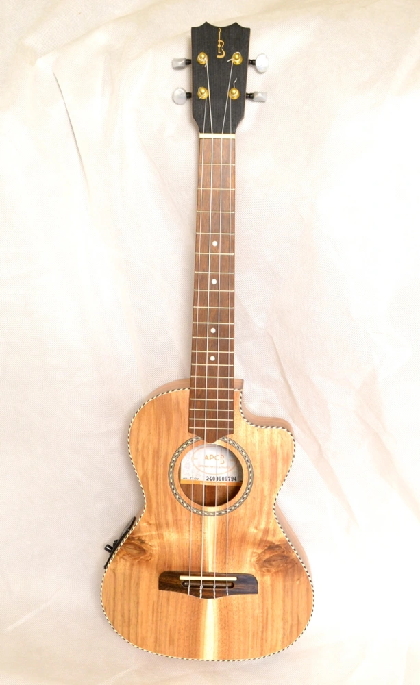 Tenor elektro-akustické ukulele APC TT CW EQ Koa s futrálem