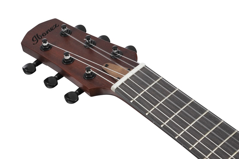 Guitarlele IBANEZ AUP10N-OLB s povlakem