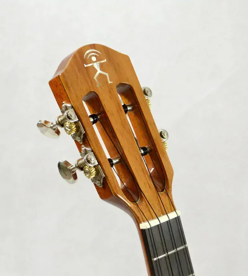 Tenor ukulele aNueNue UT1K Bird
