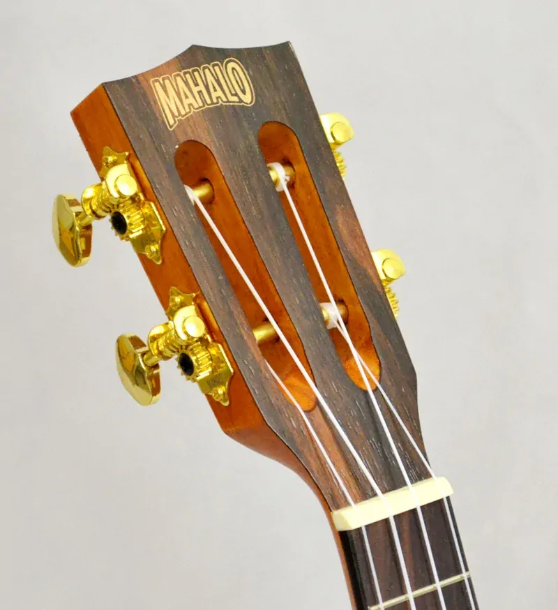Koncertní elektoakusticke ukulele MAHALO JAVA