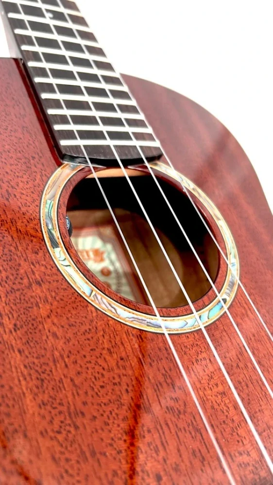 Tenor elektro-akustické ukulele aNueNue AMM3E