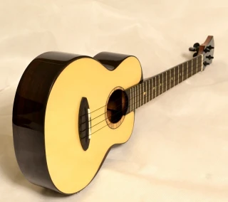 Tenor ukulele aNueNue UT200 Moonbird