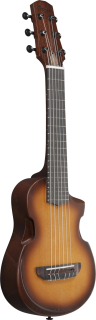 Guitarlele IBANEZ AUP10N-OLB s povlakem