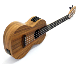 ISLANDER AT-4-EQ AKACIE TENOR UKULELE SE SNÍMAČEM