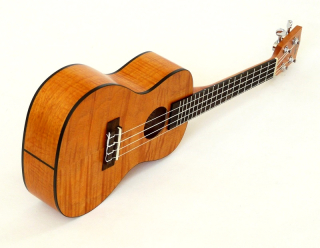 Koncertní mahagon ukulele KALA KA-CEM